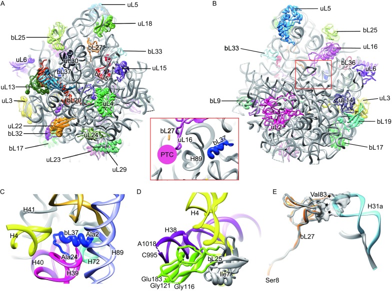 Figure 2