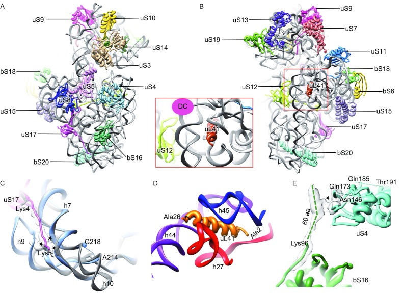 Figure 1