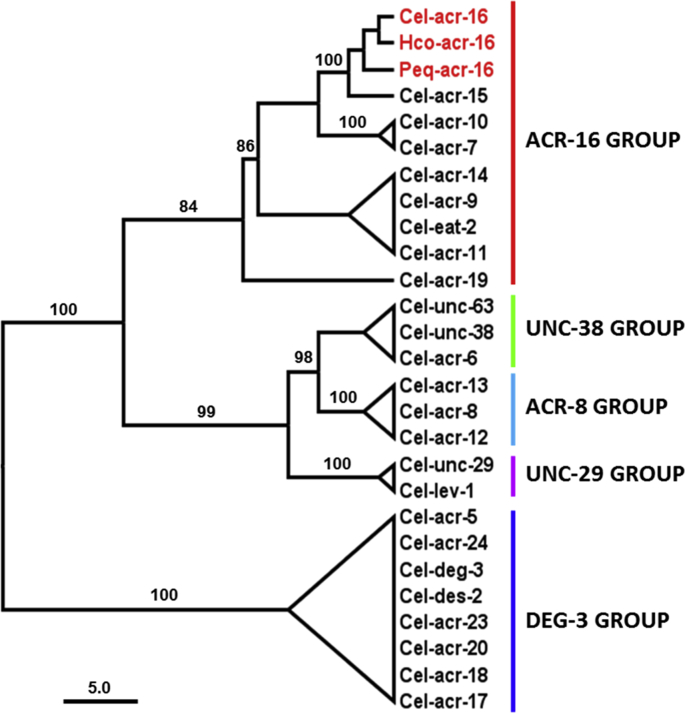 S3Fig. tif