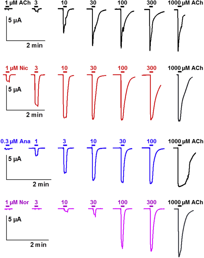 Fig. 6