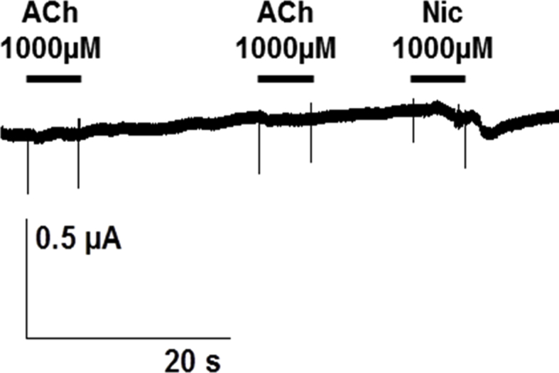 S4Fig. tif