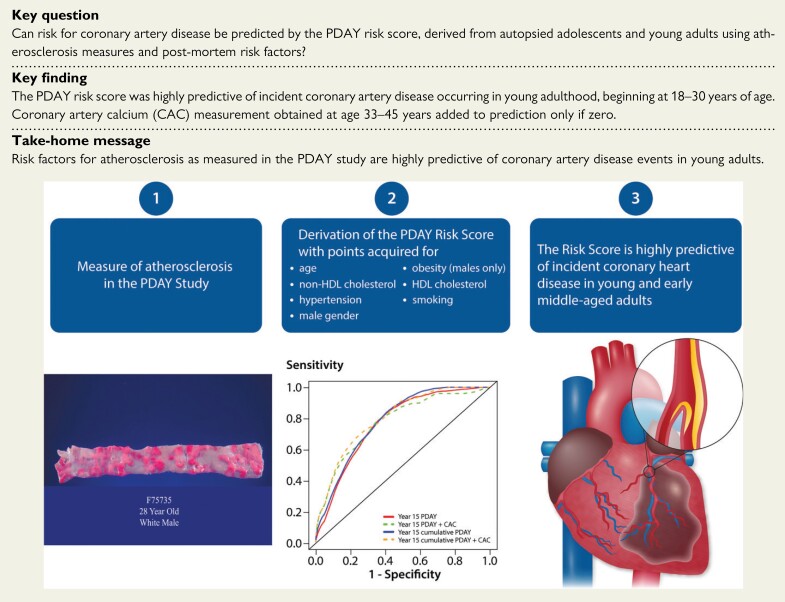 Structured Graphical Abstract