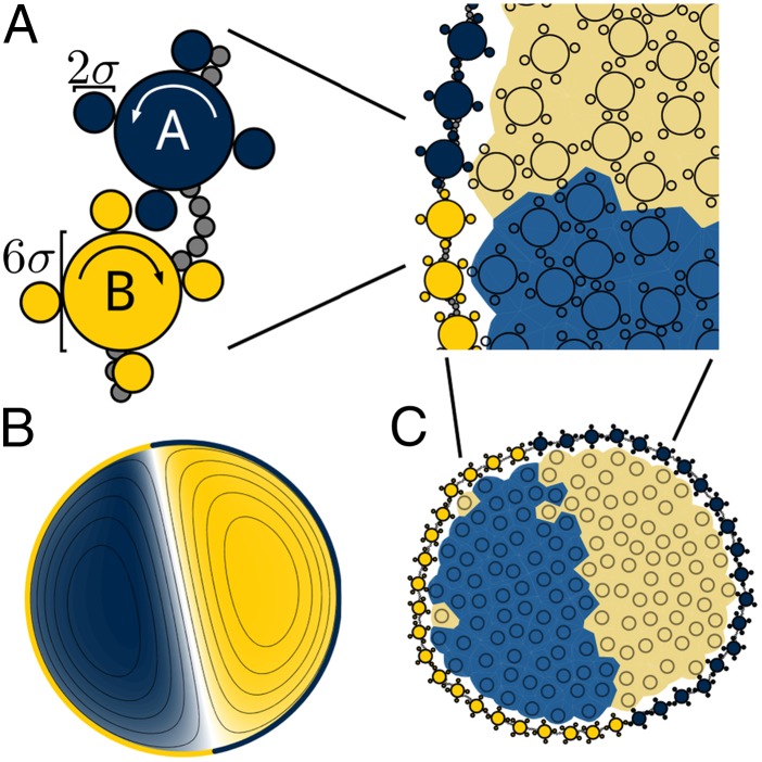 Fig. 1.