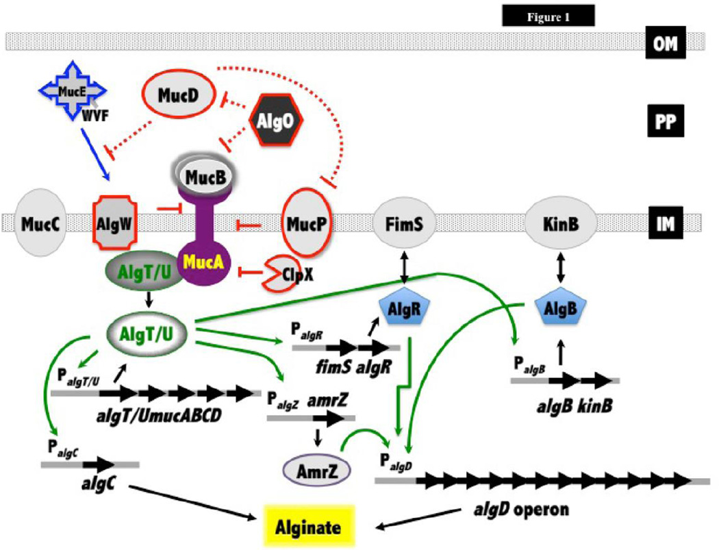 Fig. 1