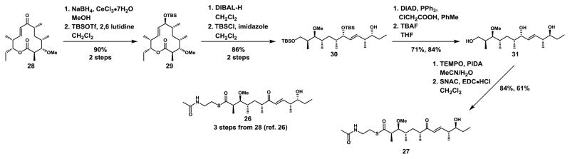 Scheme 3