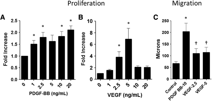 Figure 5