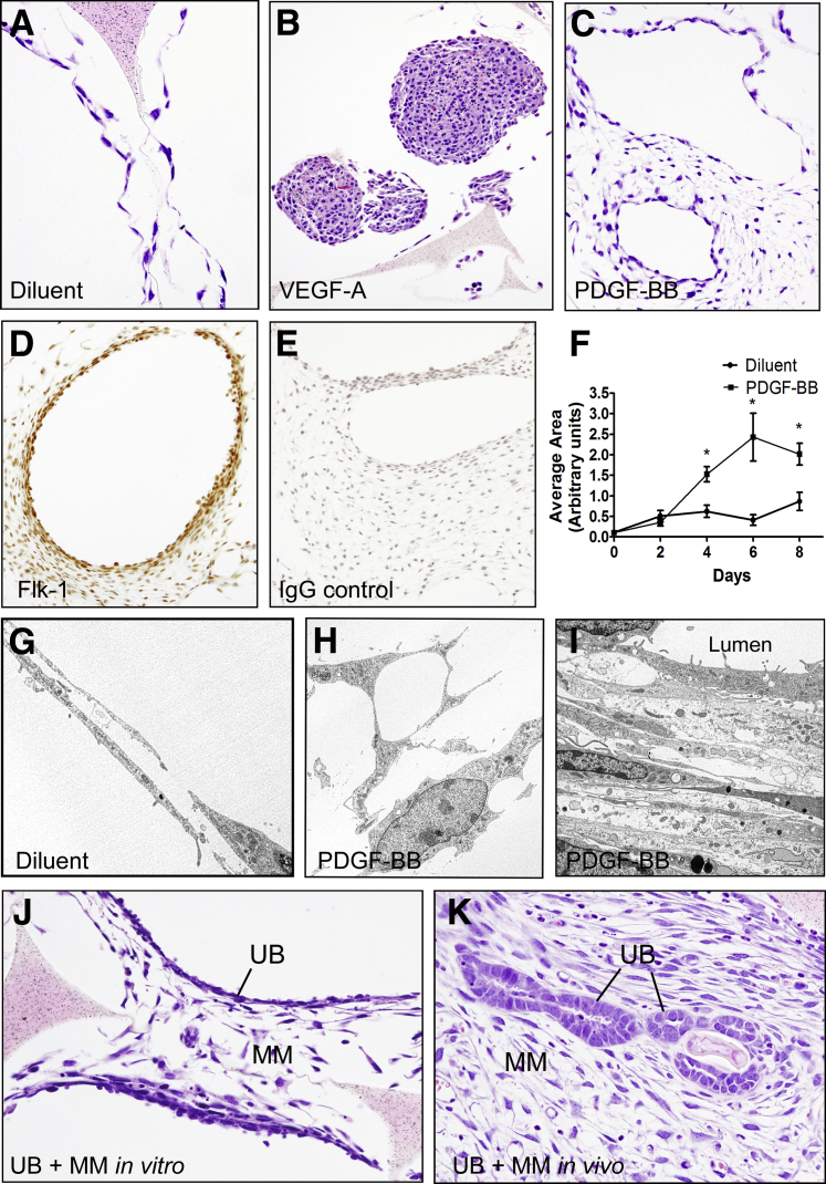 Figure 7