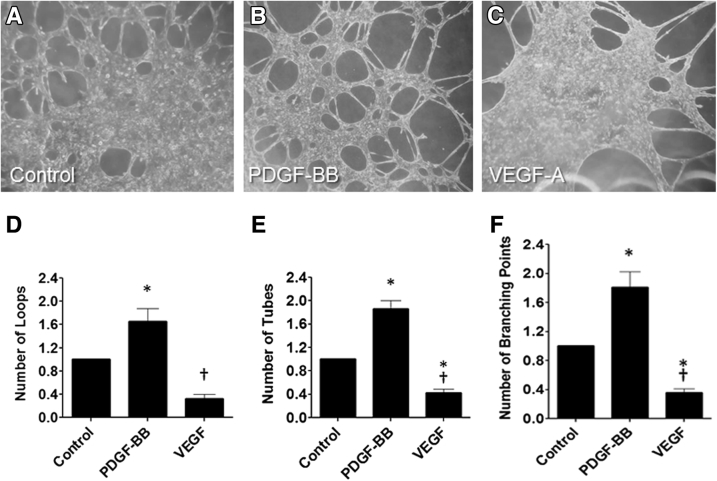 Figure 6