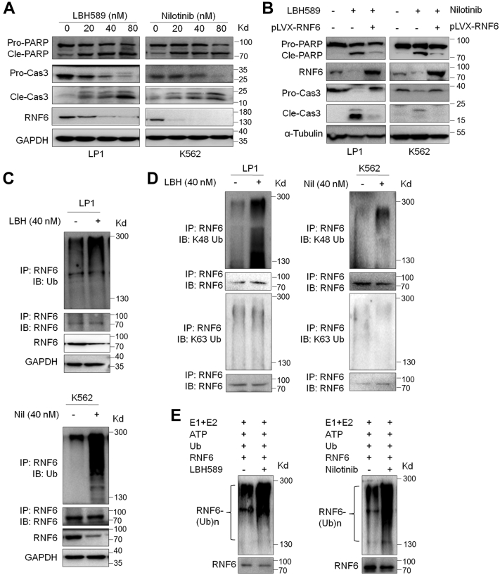 Figure 6