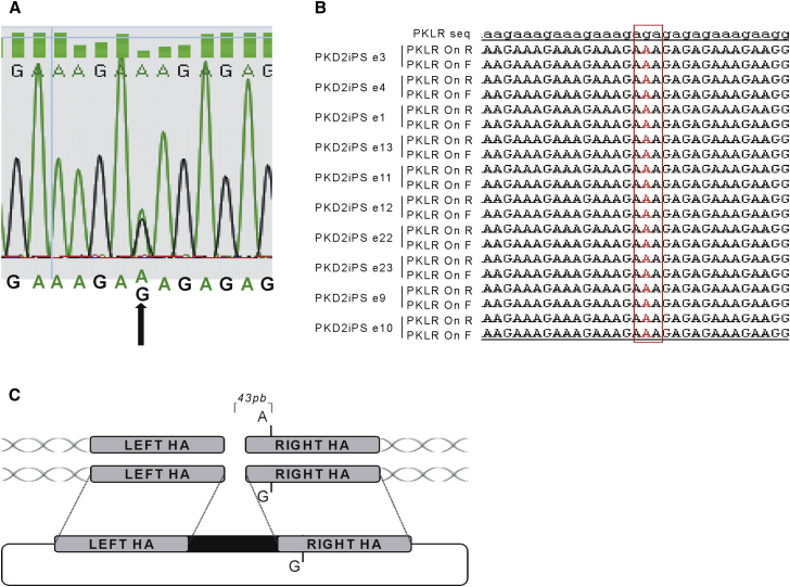 Figure 3