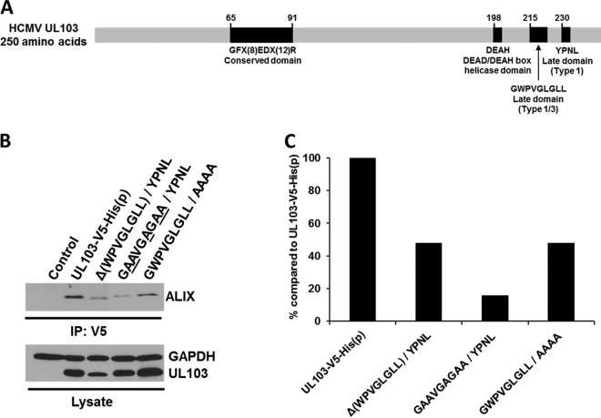 FIG 6