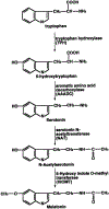 Fig. 1.