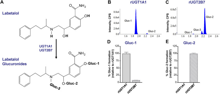 FIGURE 3