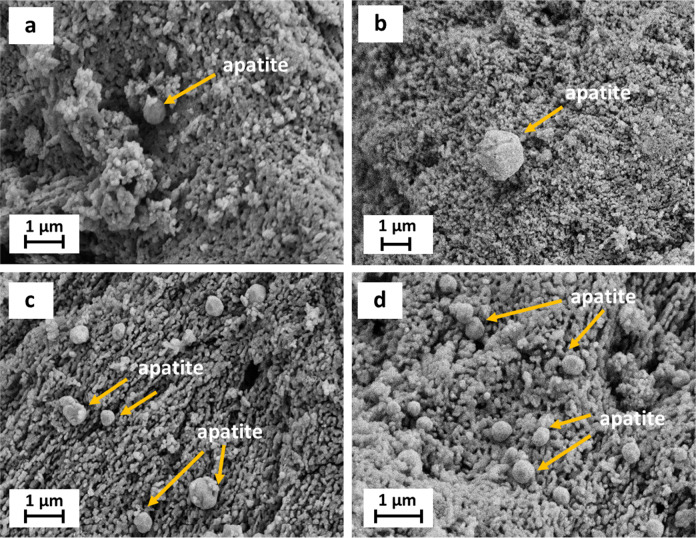 Fig. 9