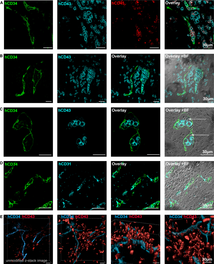 Figure 3