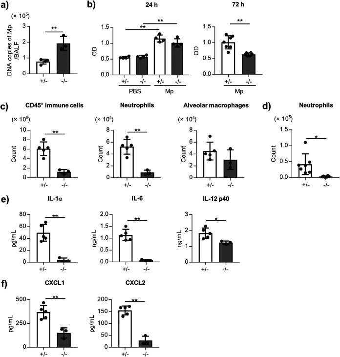 FIG 3