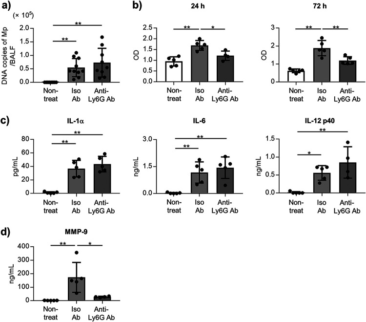 FIG 2