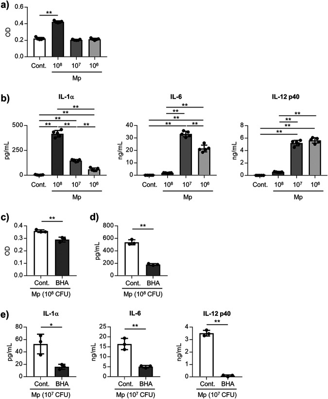 FIG 6