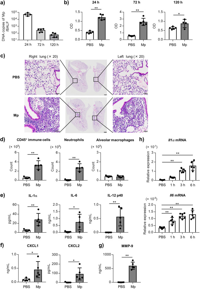 FIG 1