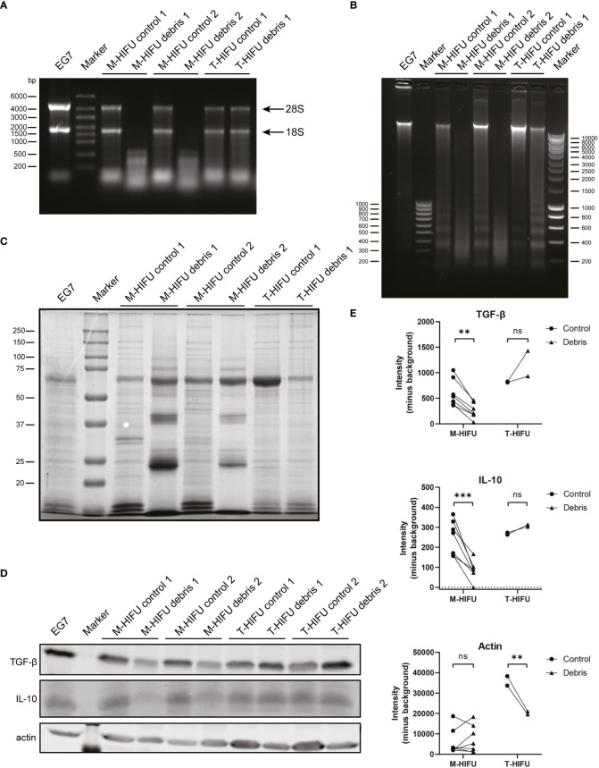 Figure 4