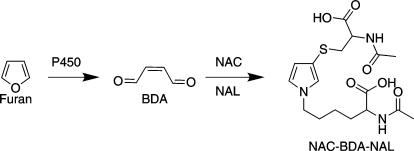 Scheme 1.