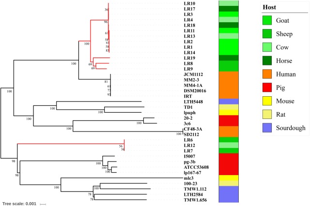 FIGURE 3