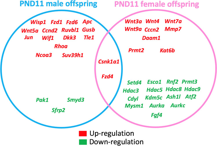 Fig. 10