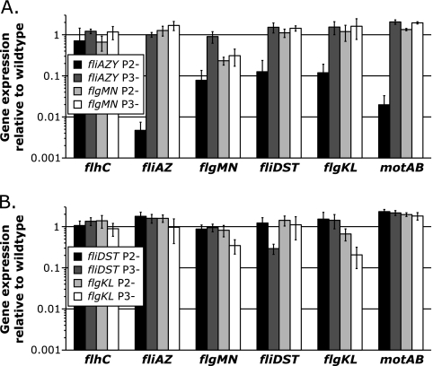 FIG. 2.