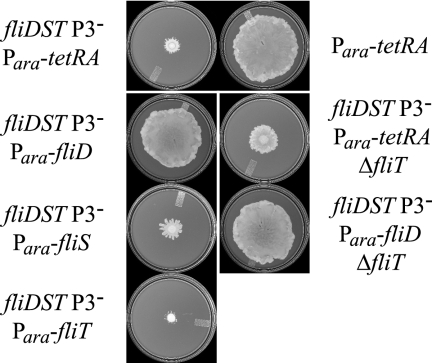 FIG. 4.