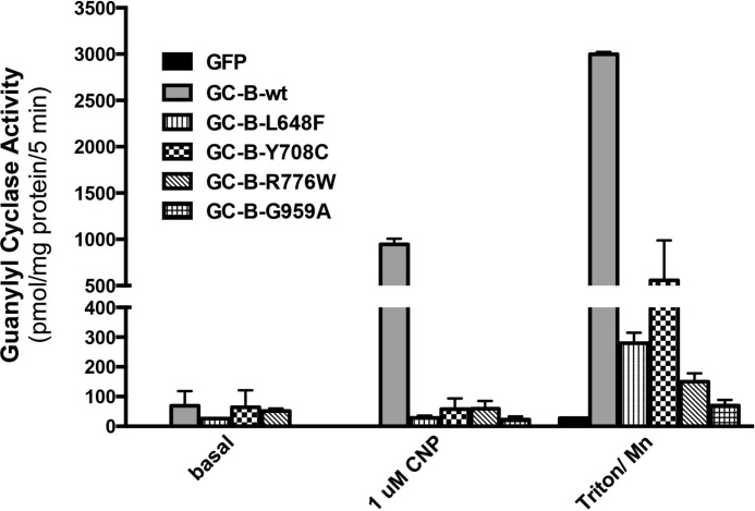 FIGURE 4.