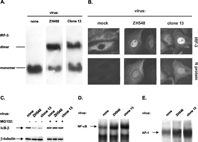 FIG. 6.