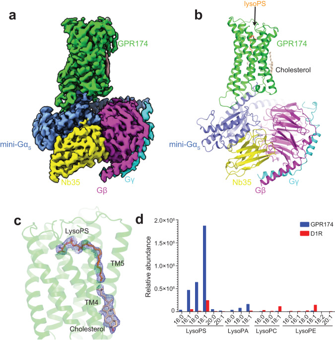 Fig. 2