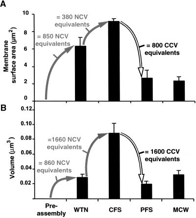 Figure 9.