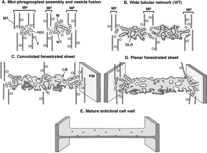 Figure 13.