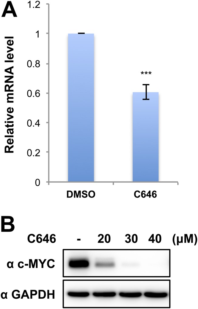 Fig. S4.