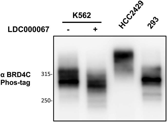 Fig. S6.