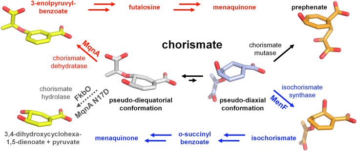 Figure 5