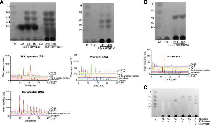 FIG 6