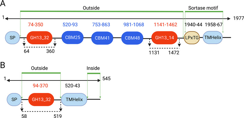 FIG 3