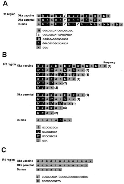 FIG. 2.