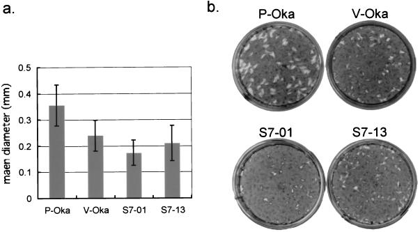 FIG. 4.