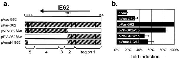 FIG. 6.