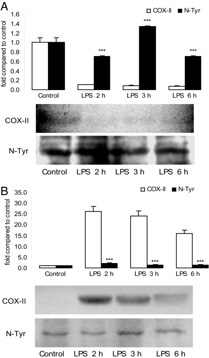 Fig. 9.