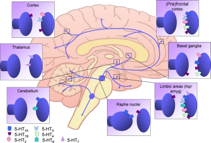 Fig. 1