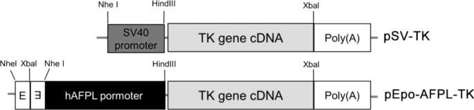 Figure7