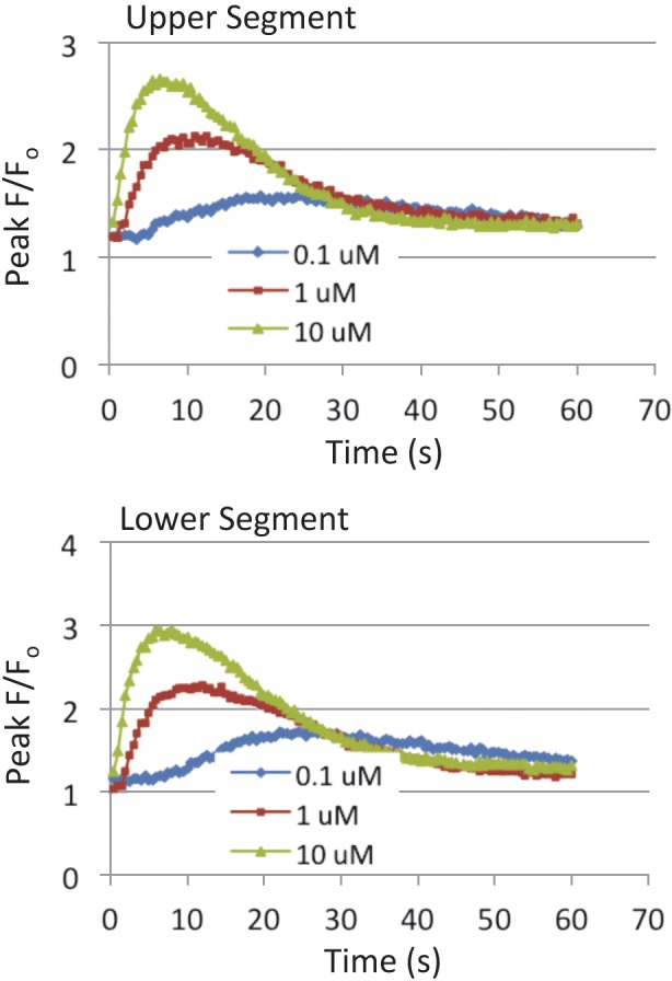 Fig. 3