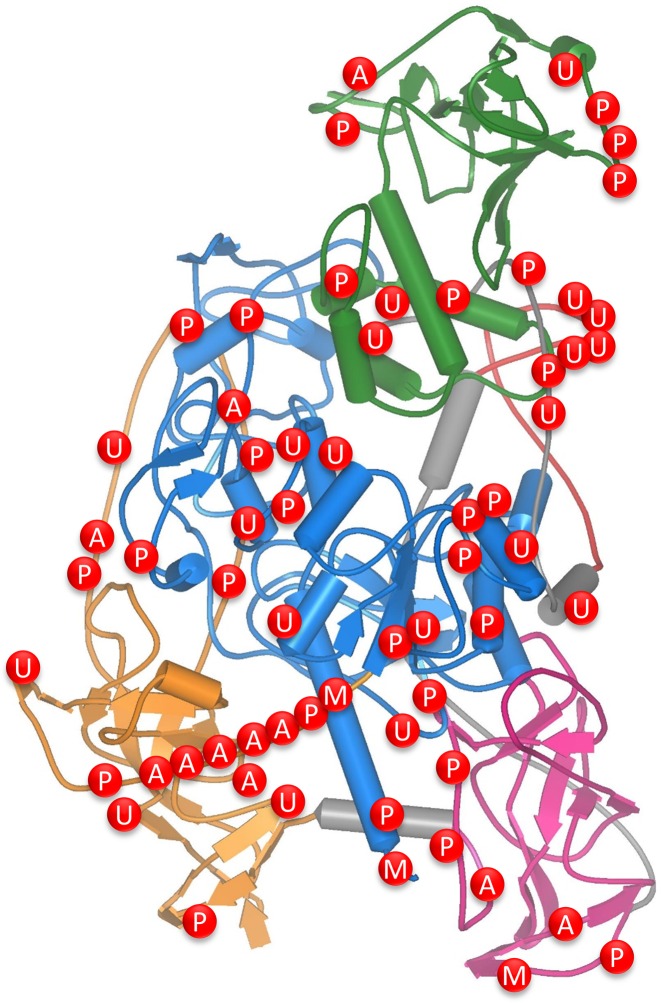 Figure 4.