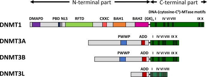 Figure 1.