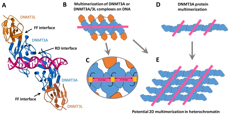 Figure 6.