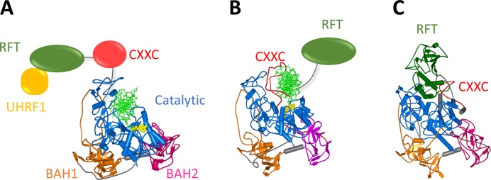 Figure 2.